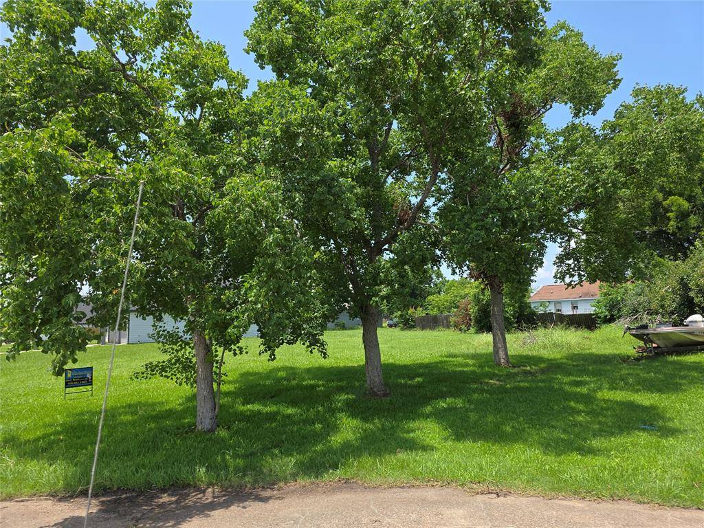 TBD Deep Wood LN, Livingston, TX 77351