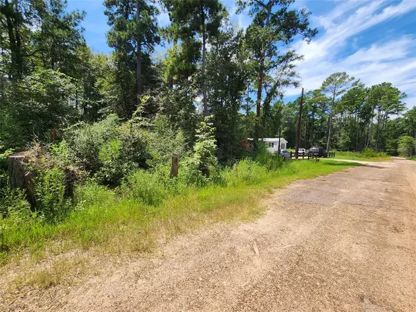 Plantersville, TX 77363,Lot 4 Coral Bean LN