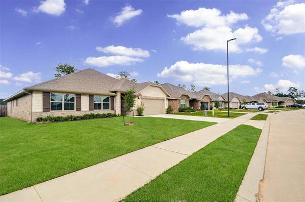 Cleveland, TX 77327,30173 Alpine Aster LN