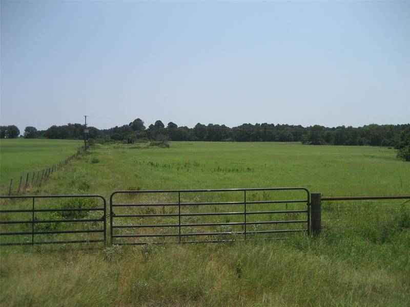 00 Tx-294 East, Elkhart, TX 75839