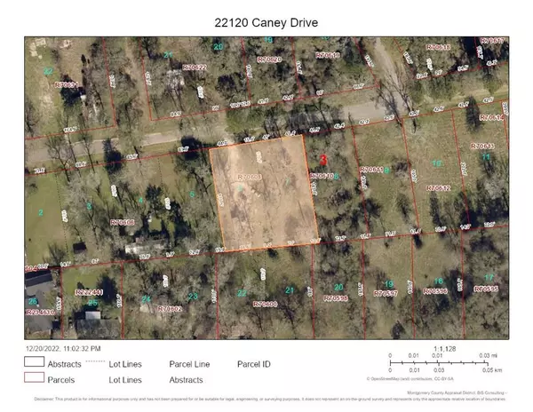 New Caney, TX 77357,22120 Caney DR