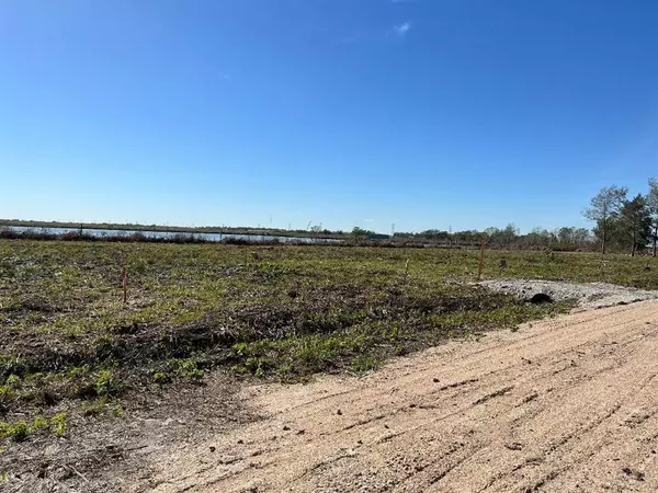 Rosharon, TX 77583,00 Lot 52/53W Bijou Rue