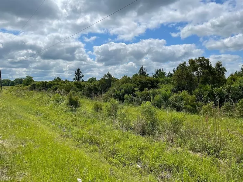 0 County Road 6111 Lot 1E, Dayton, TX 77535