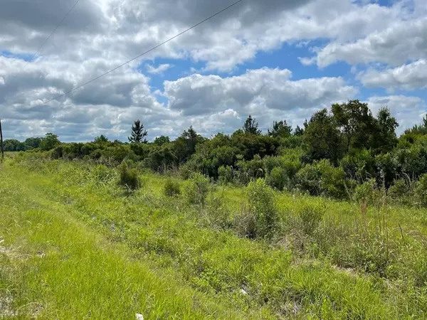 0 County Road 6111 Lot 1E,  Dayton,  TX 77535