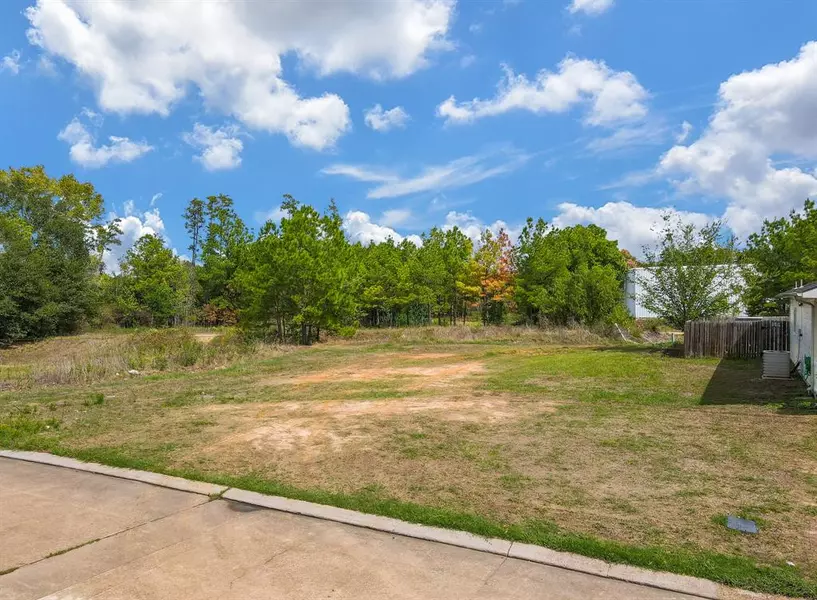 21506 Berry Vine ST, Tomball, TX 77375