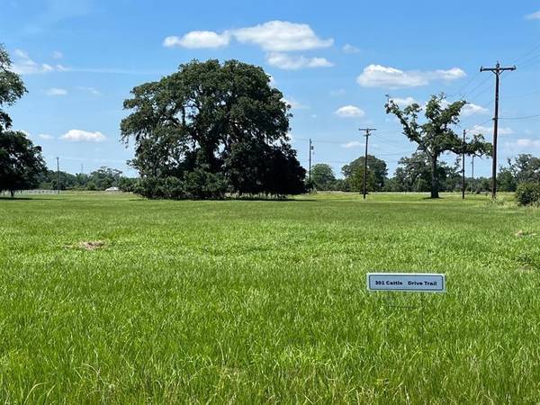 Angleton, TX 77515,301 Cattle Drive TRL