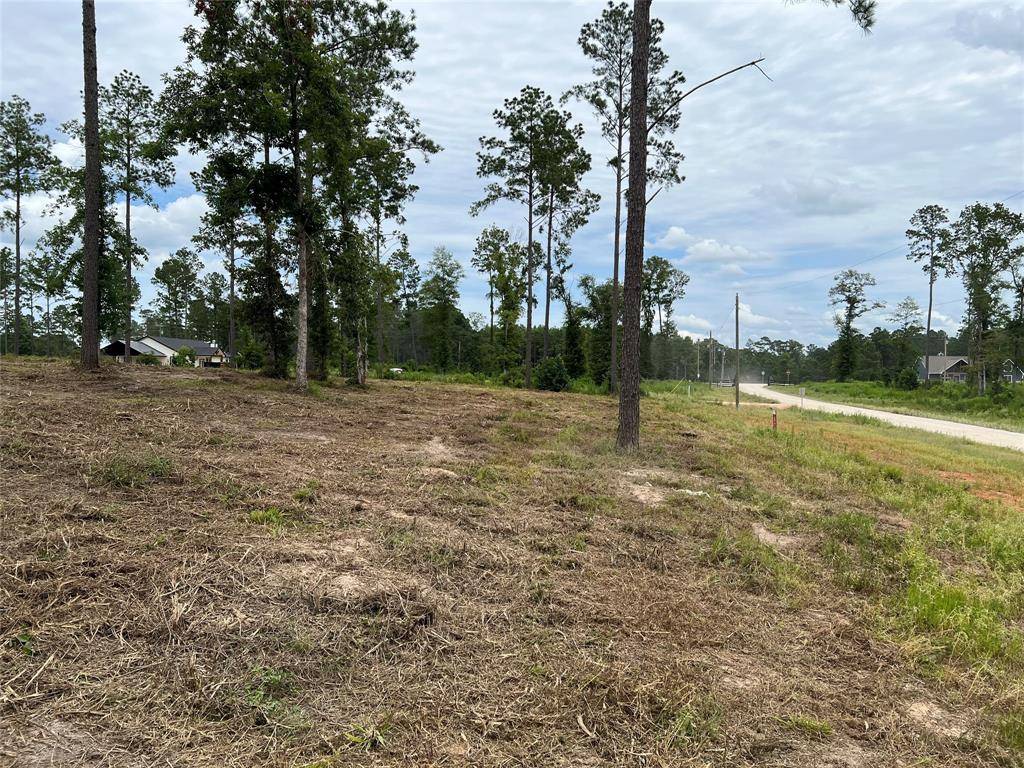 234 Reveille Rd, Livingston, TX 77351