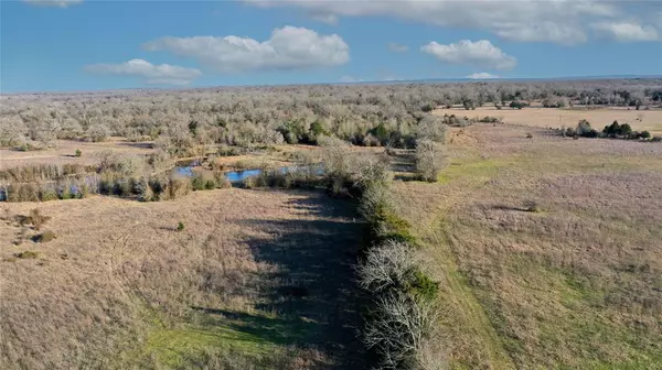 Bedias, TX 77831,TBD Tract 1 County Road 124