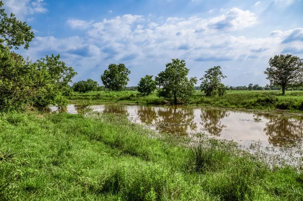 Waller, TX 77445,9 Schmidt Road