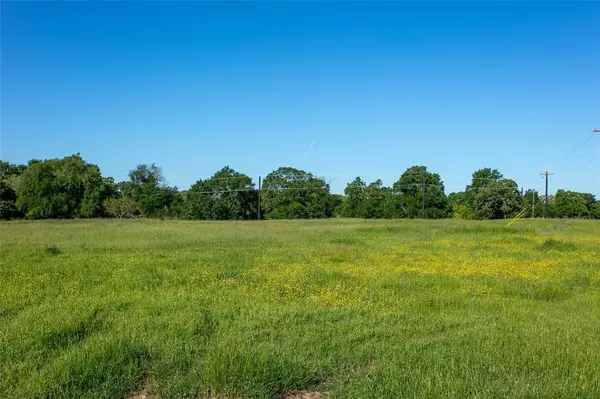 Caldwell, TX 77836,Lot 3 Brazos Court