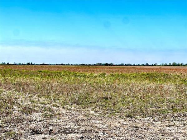 Eagle Lake, TX 77434,TBD Tract 7 CR 210