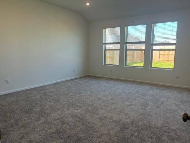 Rosharon, TX 77583,2419 Indian Jade DR