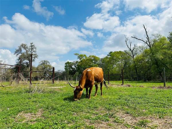 Damon, TX 77430,803 County Road 772