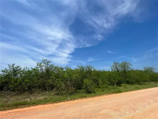 Caldwell, TX 77839,1 Acre CR 358