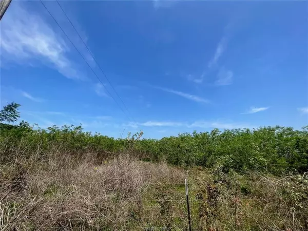 Caldwell, TX 77839,1 Acre CR 358