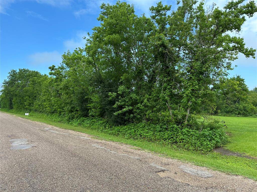 Alvin, TX 77511,2 County road 206