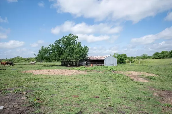 Schulenburg, TX 78956,1423 Swiss Alp Hills LOOP