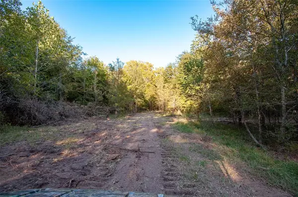 Navasota, TX 77868,0001 County Rd 319