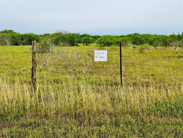 Lot 15 Cr 430, Premont, TX 78375