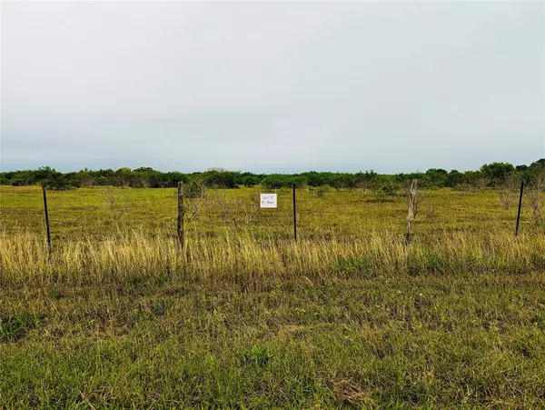 Premont, TX 78375,Lot 15 Cr 430