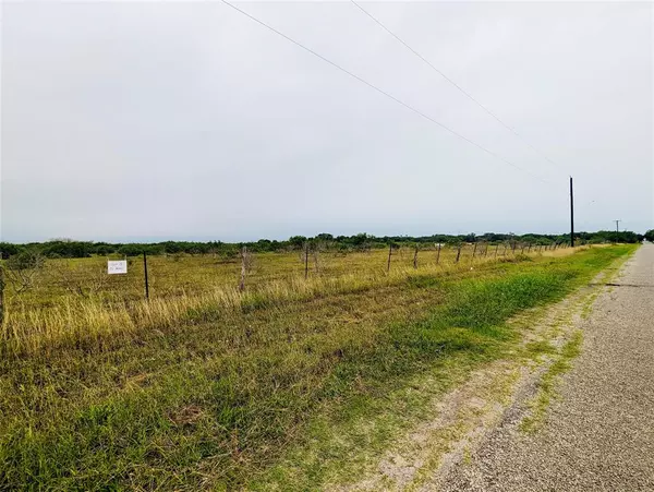 Premont, TX 78375,Lot 15 Cr 430