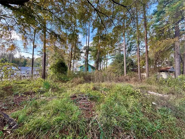 Willis, TX 77318,Lot 2 WALKWOOD DR