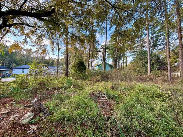 Willis, TX 77318,Lot 2 WALKWOOD DR