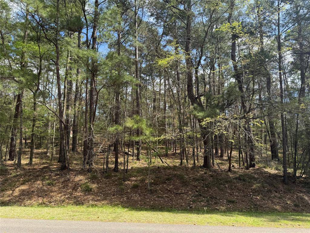 107 Green Tree DR, Coldspring, TX 77331