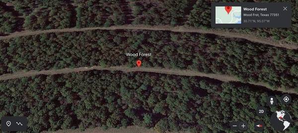 0000 Wood Forest, Livingston, TX 77351