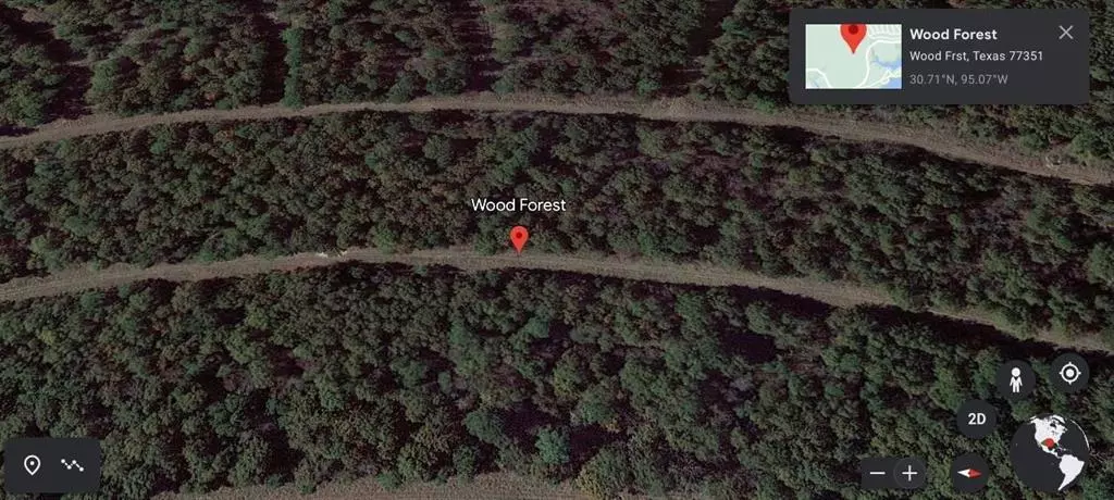 0000 Wood Forest, Livingston, TX 77351