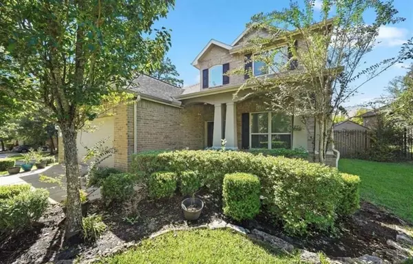 15 Black Swan CT, Magnolia, TX 77354