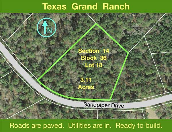 14-36-18 Sandpiper DR, New Waverly, TX 77358