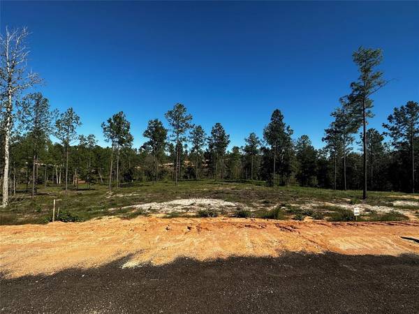 Lot 109 Anna Grace Rd, Livingston, TX 77351