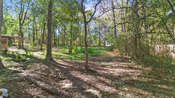 Willis, TX 77378,Lot 21 Big Spring Circle