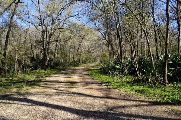 Lot 6 Lake Ranchettes, Magnolia, TX 77354