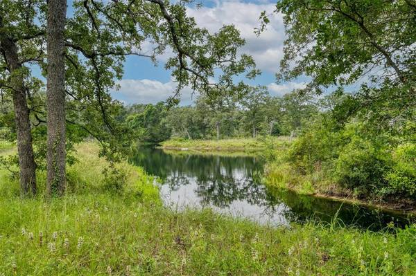 4100 Red Hollow LN,  Smithville,  TX 78957