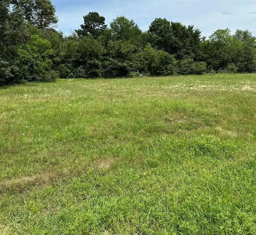 Livingston, TX 77351,Lot 15 Autumn LN