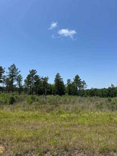 TBD 30 Reveille Rd, Livingston, TX 77351