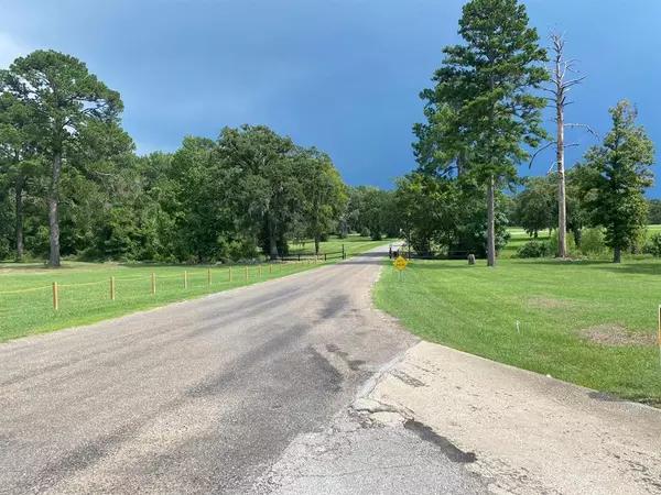 Trinity, TX 75862,Lot 3 Tara DR