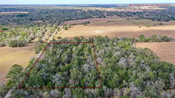 Lot 1 County Rd 229, Bedias, TX 77831