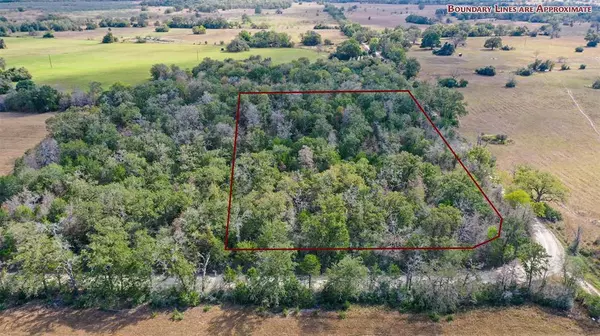 Bedias, TX 77831,Lot 1 County Rd 229