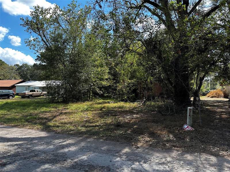 27700 Knoll Acres BLANK, New Caney, TX 77357