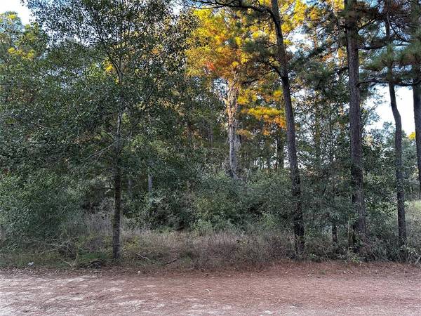 Lot 28 Hoptree LN, Plantersville, TX 77363