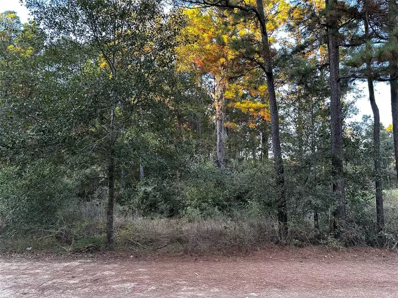 Lot 28 Hoptree LN, Plantersville, TX 77363