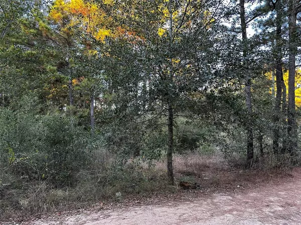 Plantersville, TX 77363,Lot 28 Hoptree LN