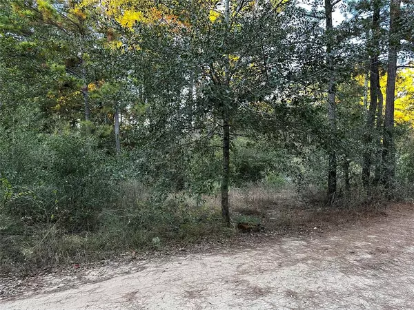 Plantersville, TX 77363,Lot 28 Hoptree LN