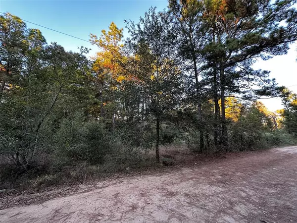 Plantersville, TX 77363,Lot 28 Hoptree LN