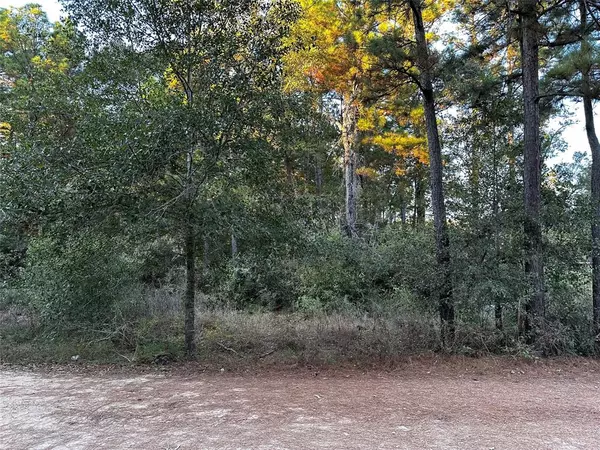 Plantersville, TX 77363,Lot 28 Hoptree LN