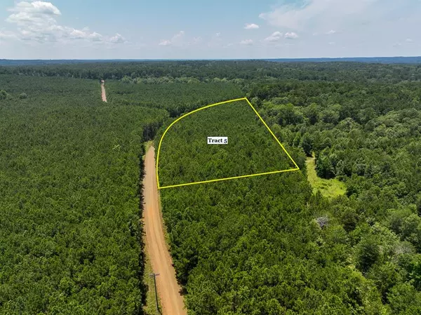 05 Bayou Road, Hemphill, TX 75948