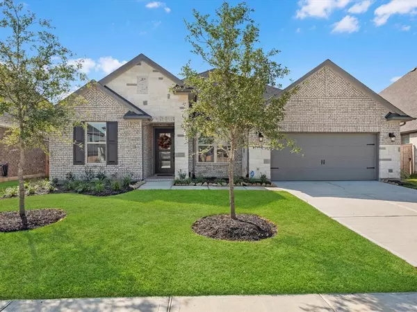 Tomball, TX 77377,19015 Dappled Mare CIR